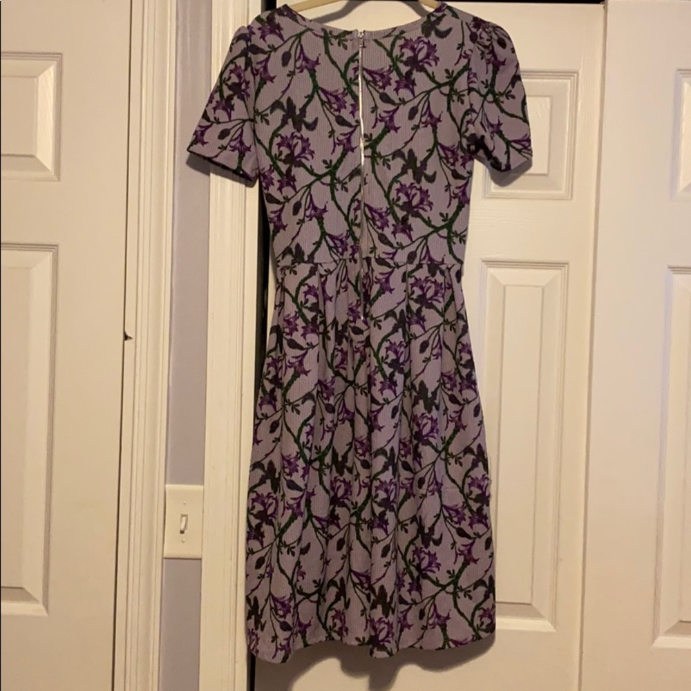 Lularoe Amelia medium